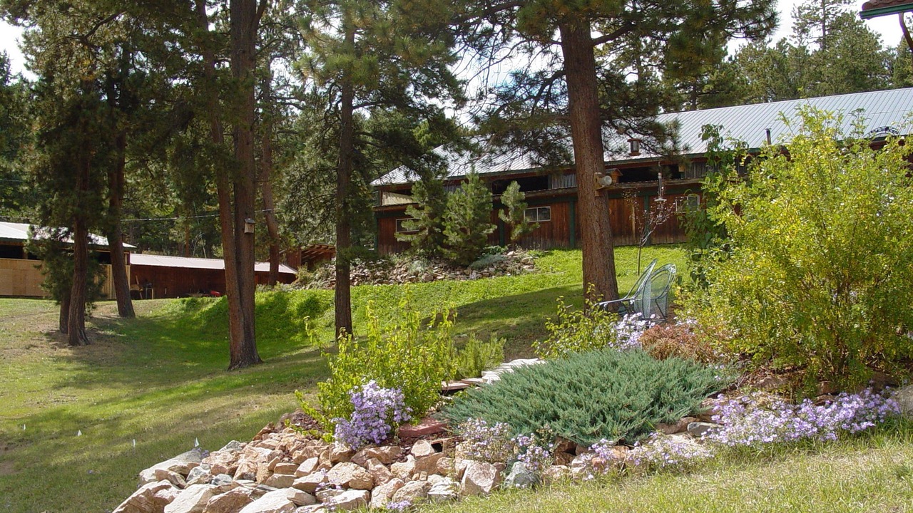Photo of Outdoor in Pine