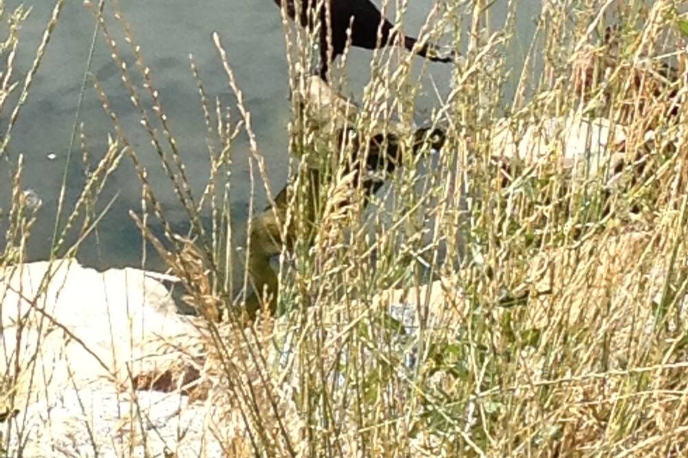 Photo of Outdoor in Wonderland Hills