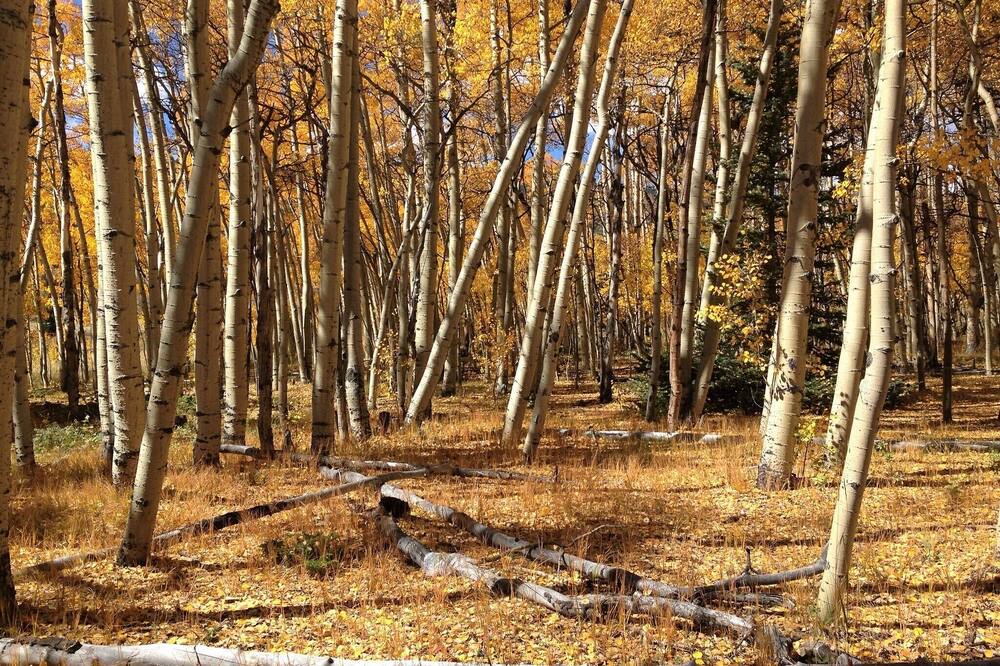 Photo of Others in Warm Springs