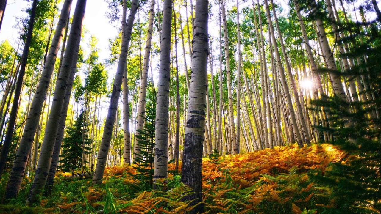 Photo of Outdoor in Gunnison