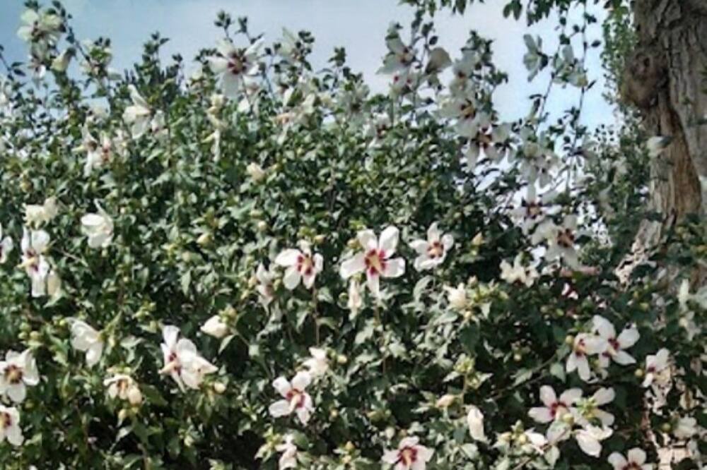Photo of Outdoor in Trinidad