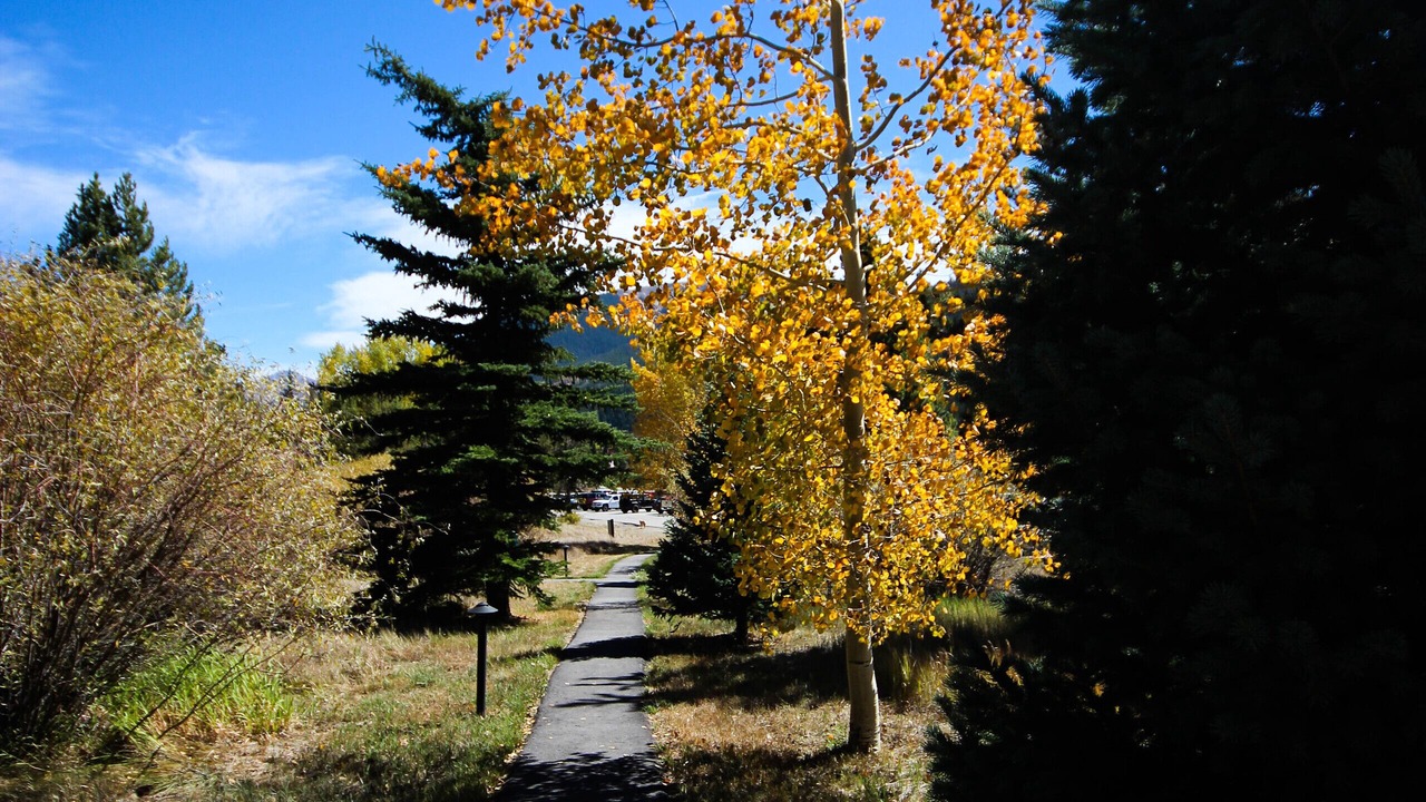 Photo of Outdoor in Keystone
