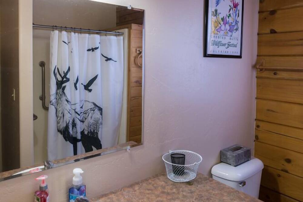 Photo of Others in Crested Butte South