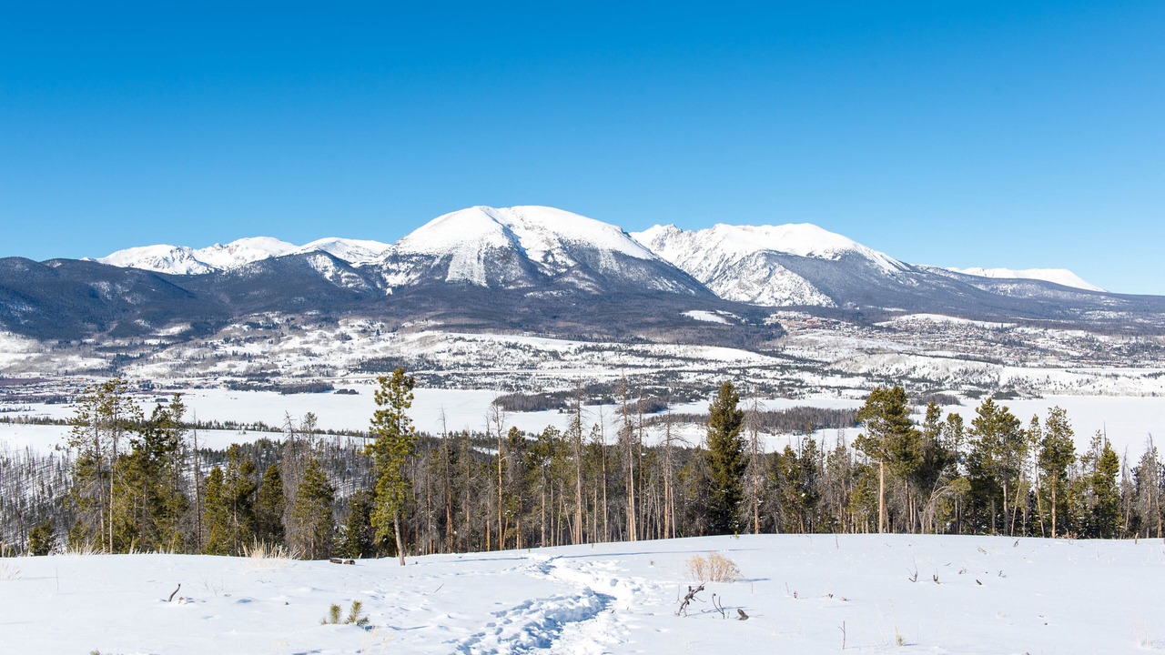 Photo of Others in South Fork