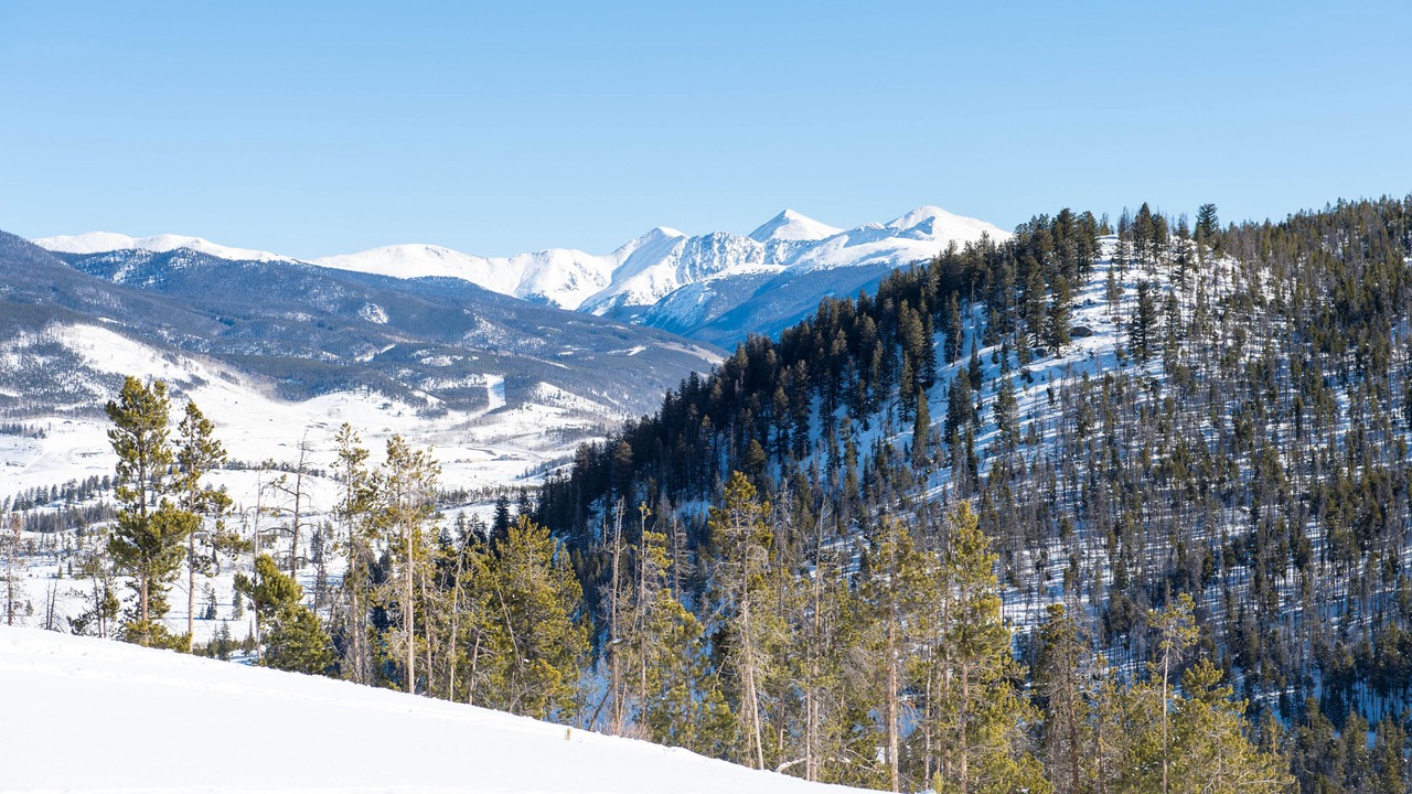 Photo of Others in South Fork