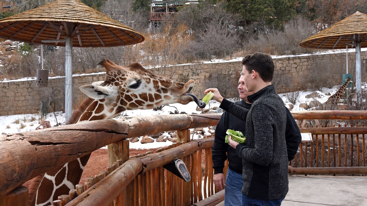 Photo of Outdoor in East Colorado Springs