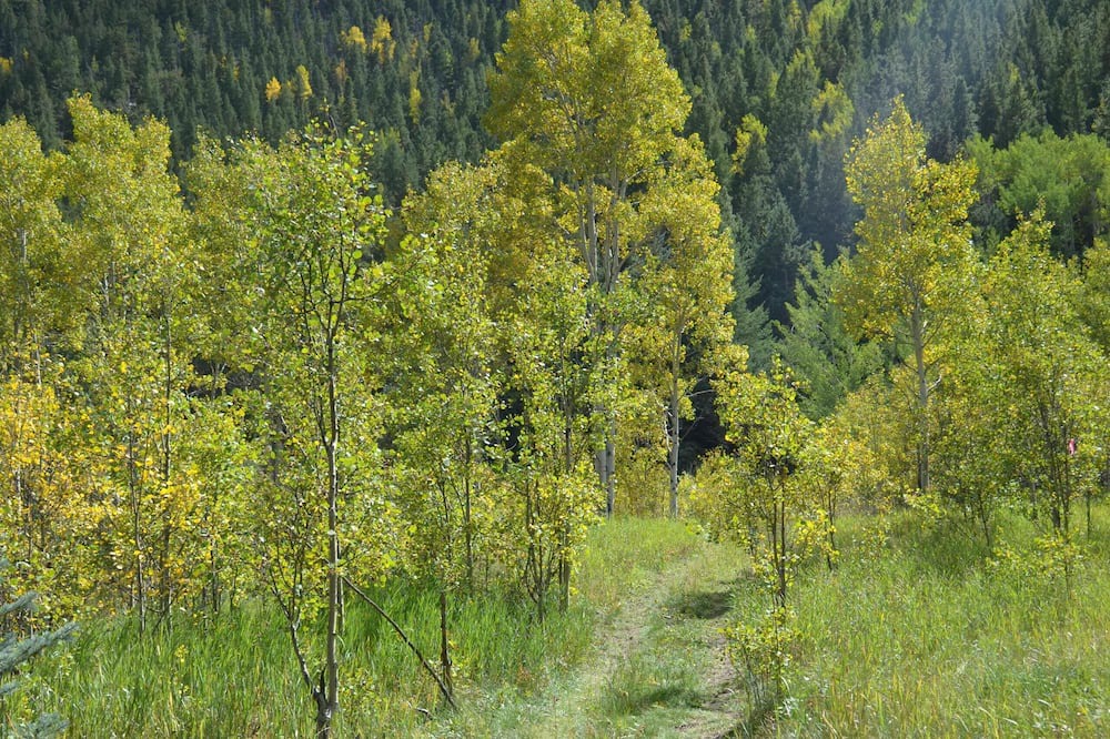 Photo of Outdoor in Idaho Springs