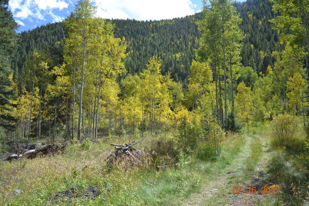 Photo of Others in Idaho Springs
