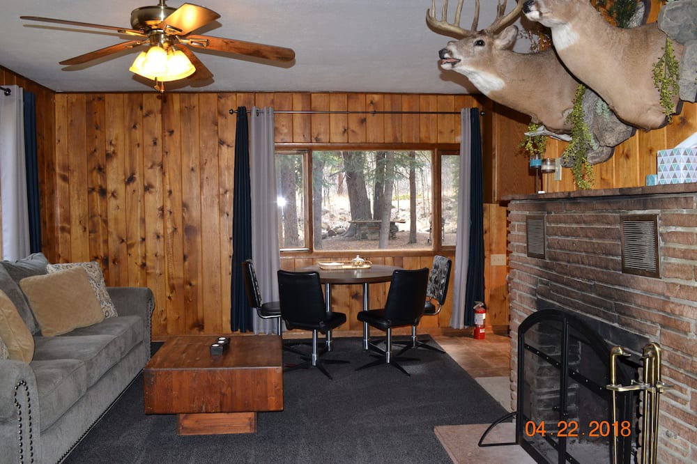 Photo of Livingroom in Idaho Springs