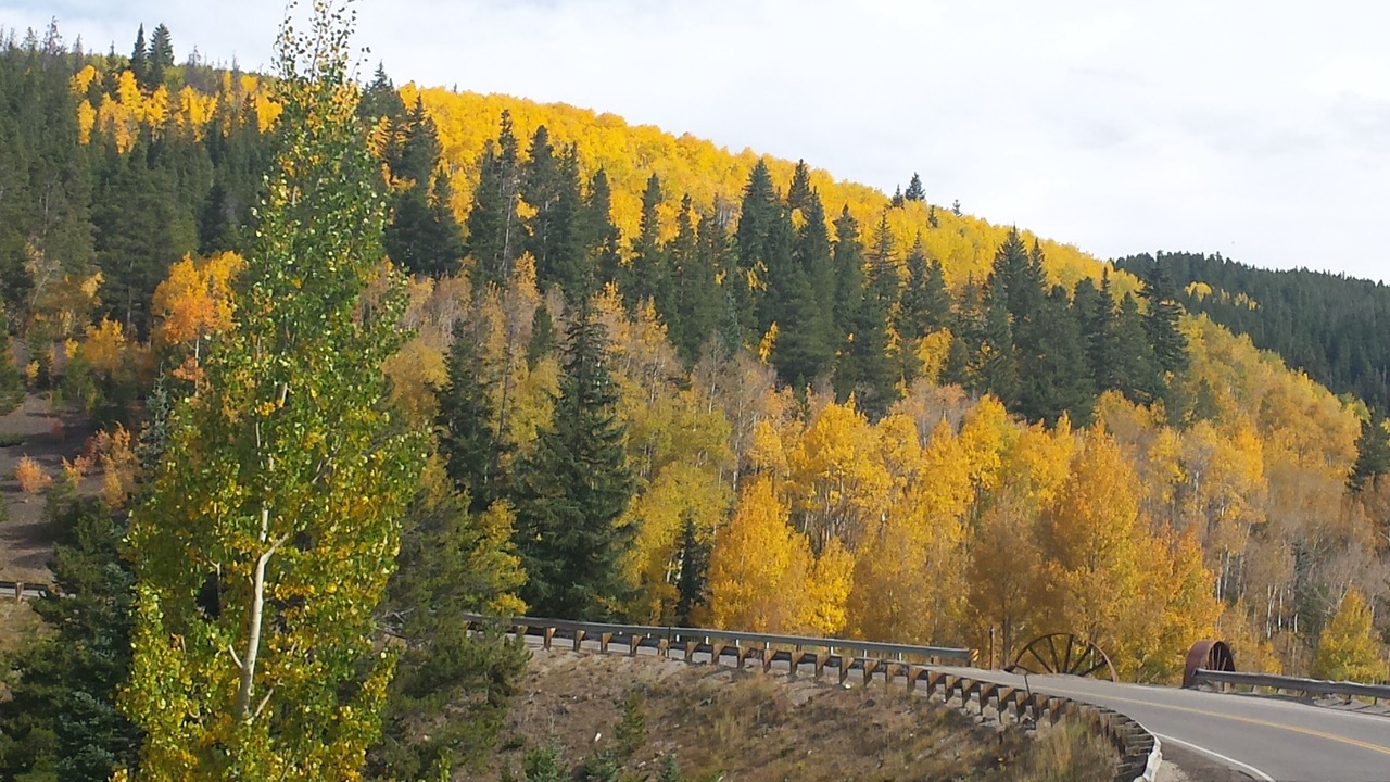 Photo of Others in Baldy Mountain