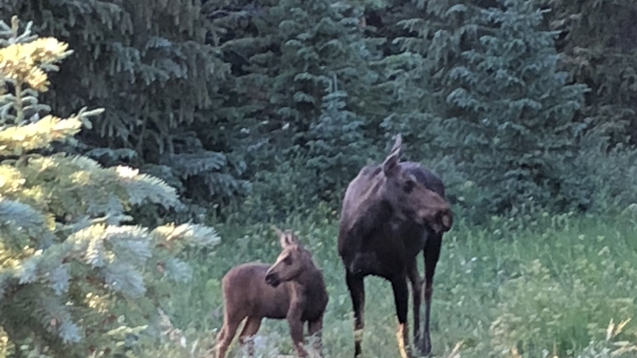 Photo of Others in Baldy Mountain