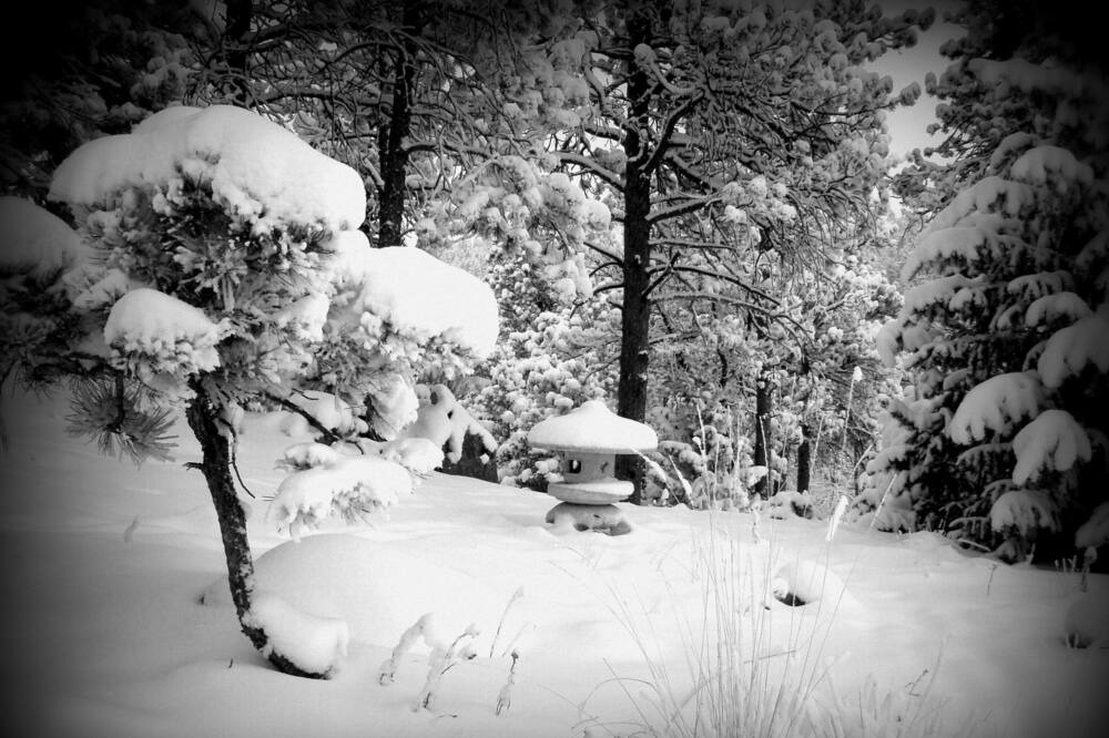 Photo of Others in Boulder