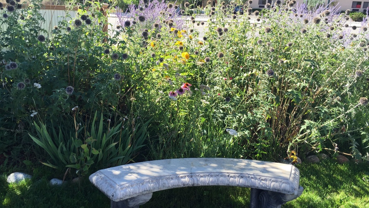 Photo of Outdoor in Salida