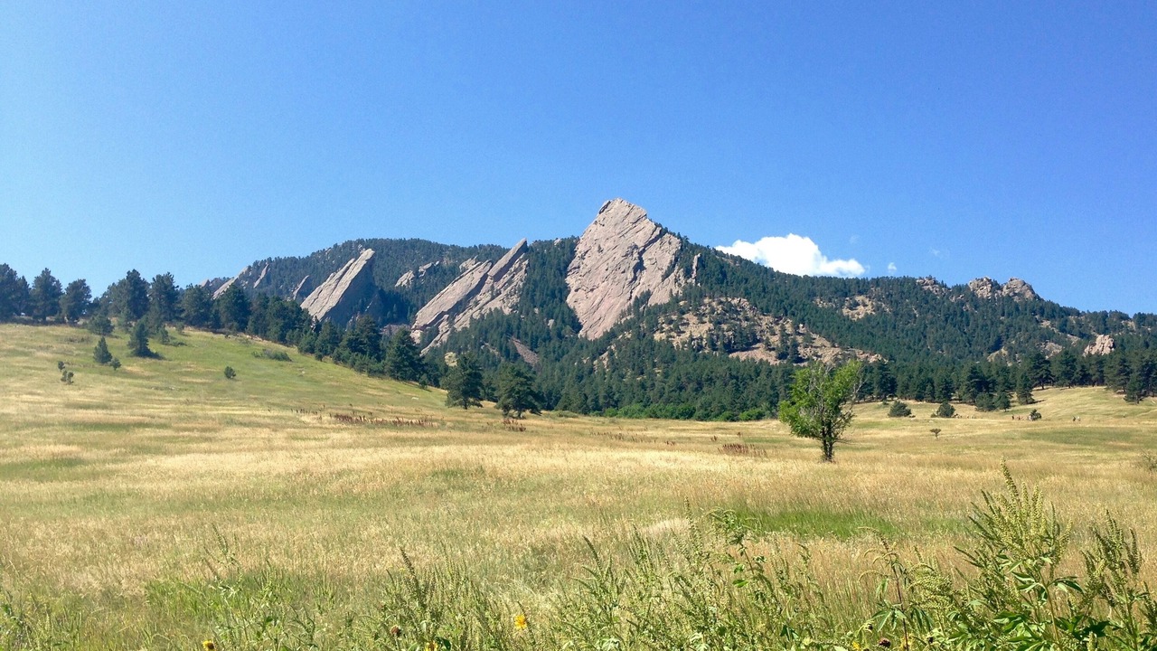 Photo of Others in Central Boulder