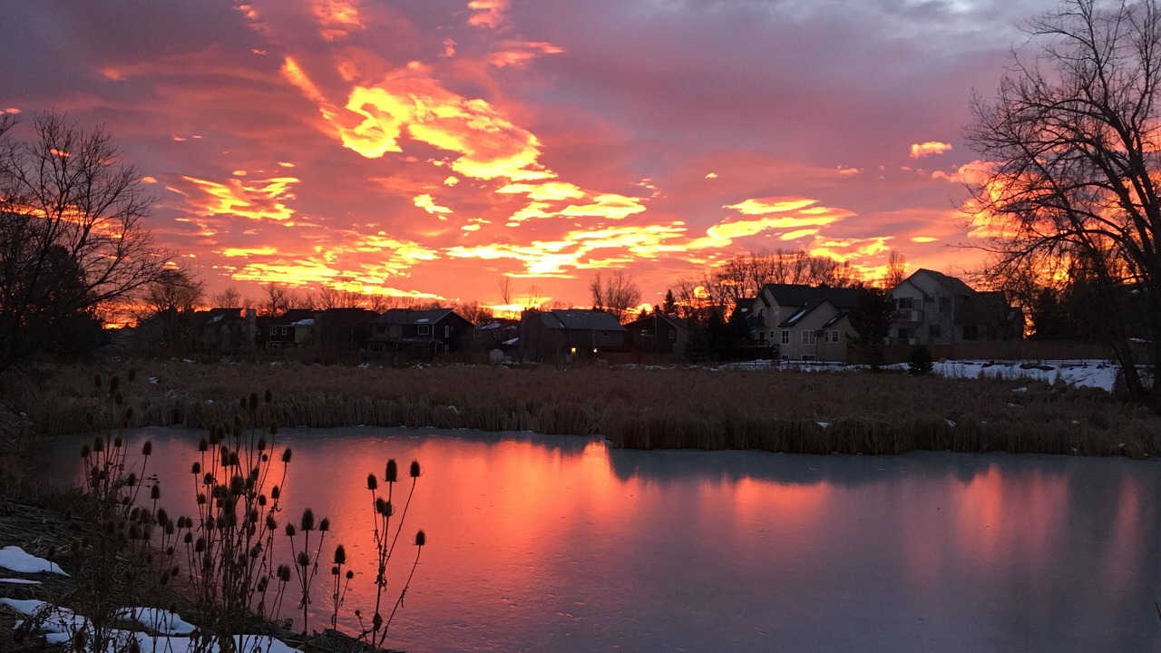 Photo of Outdoor in Gunbarrel