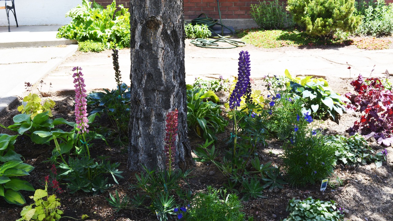 Photo of Outdoor in Cortez