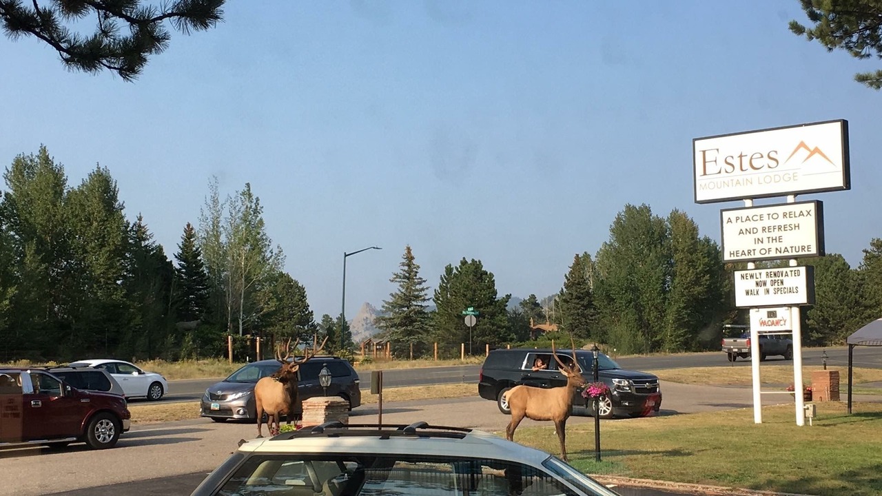 Photo of Outdoor in Estes Park