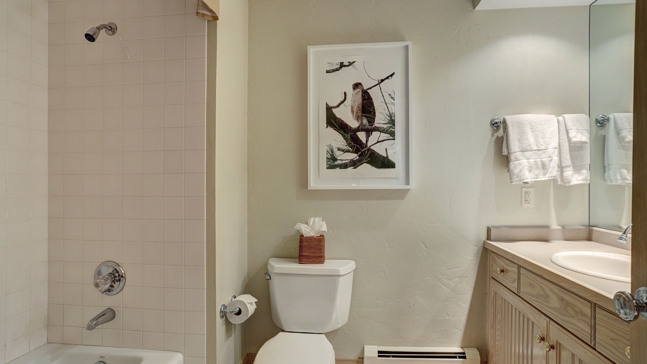Photo of Bathroom in Beaver Creek