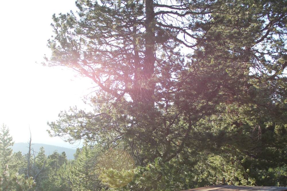 Photo of Outdoor in Black Hawk