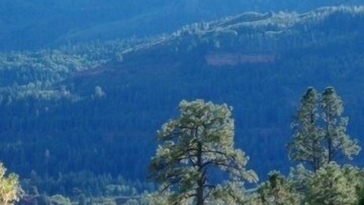 Photo of Others in Ridgway