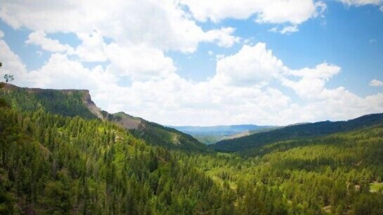 Photo of Others in Pagosa Springs