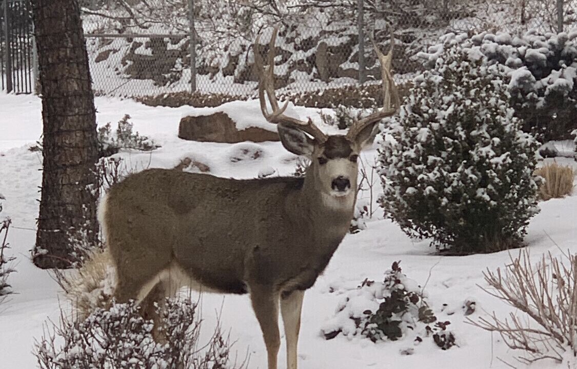 Photo of Outdoor in Broadmoor