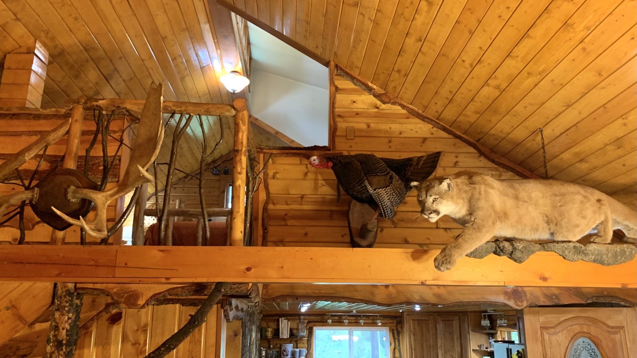 Photo of Others in Rustic