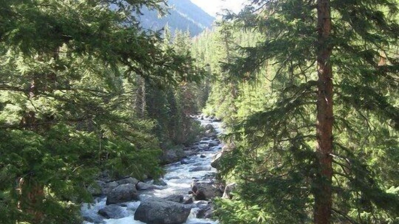 Photo of Outdoor in Rustic