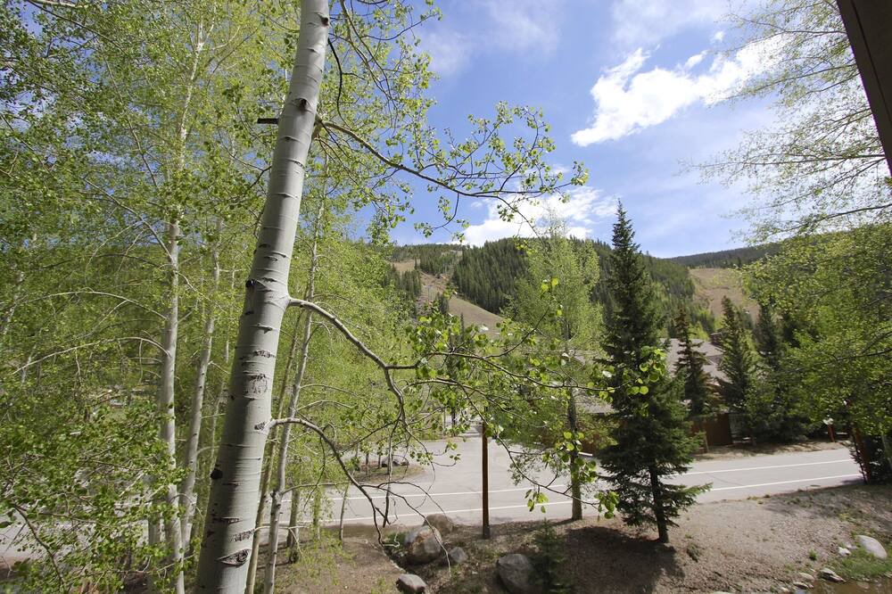Photo of Patio Balcony in Mountain House