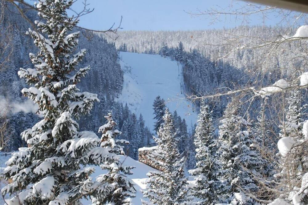 Photo of Others in Mountain House