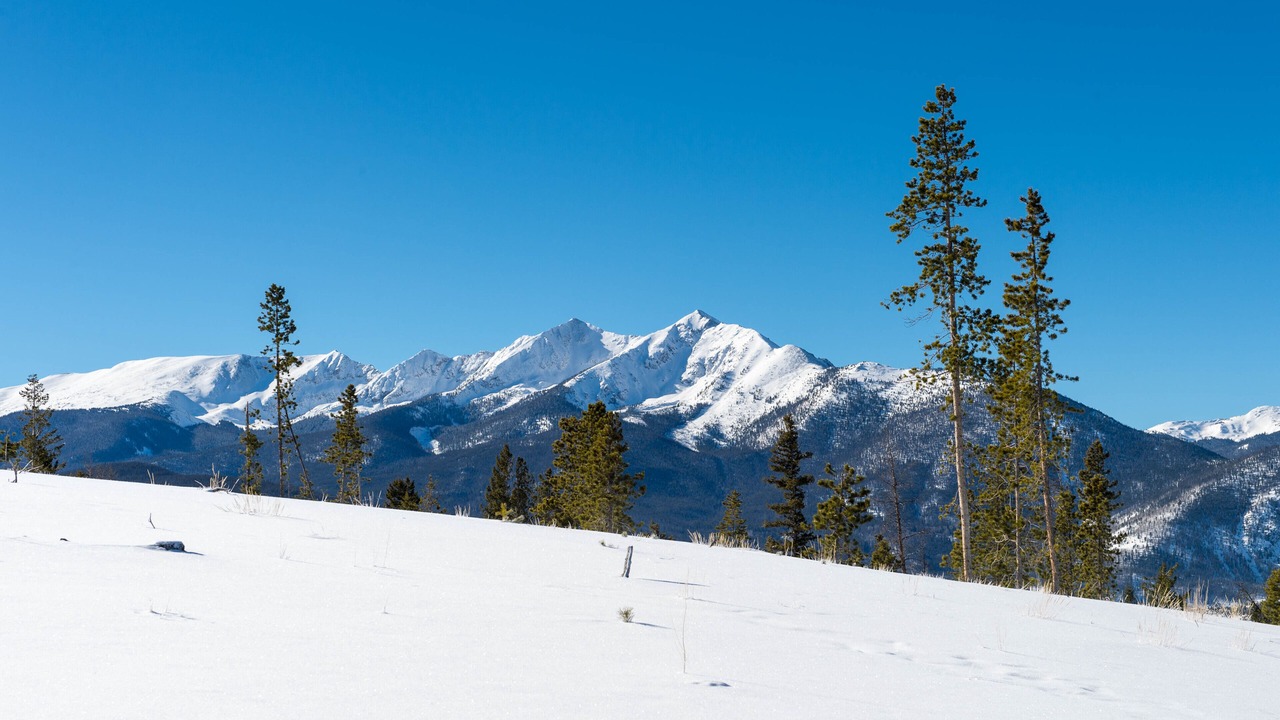 Photo of Others in South Fork