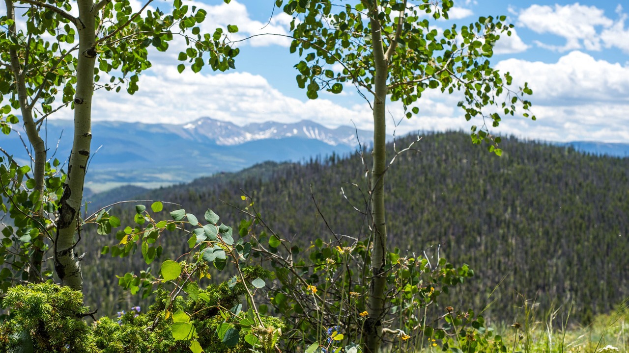 Photo of Outdoor in South Fork