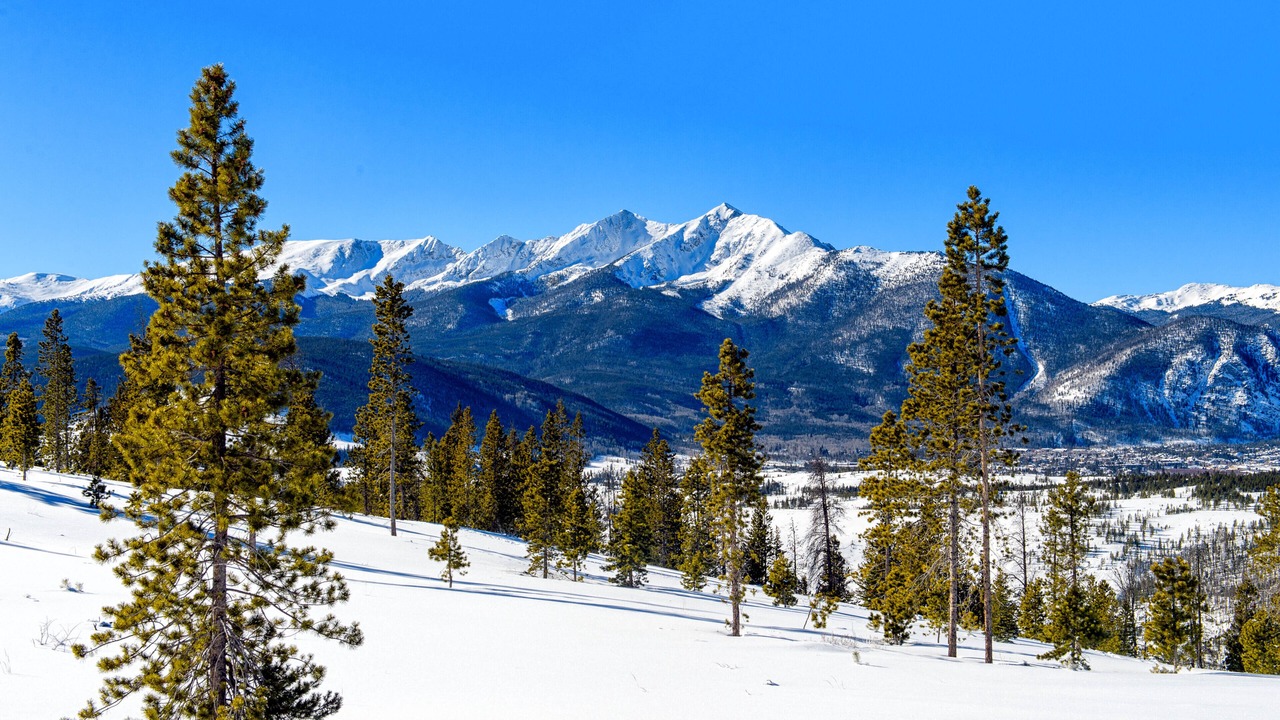 Photo of Others in South Fork