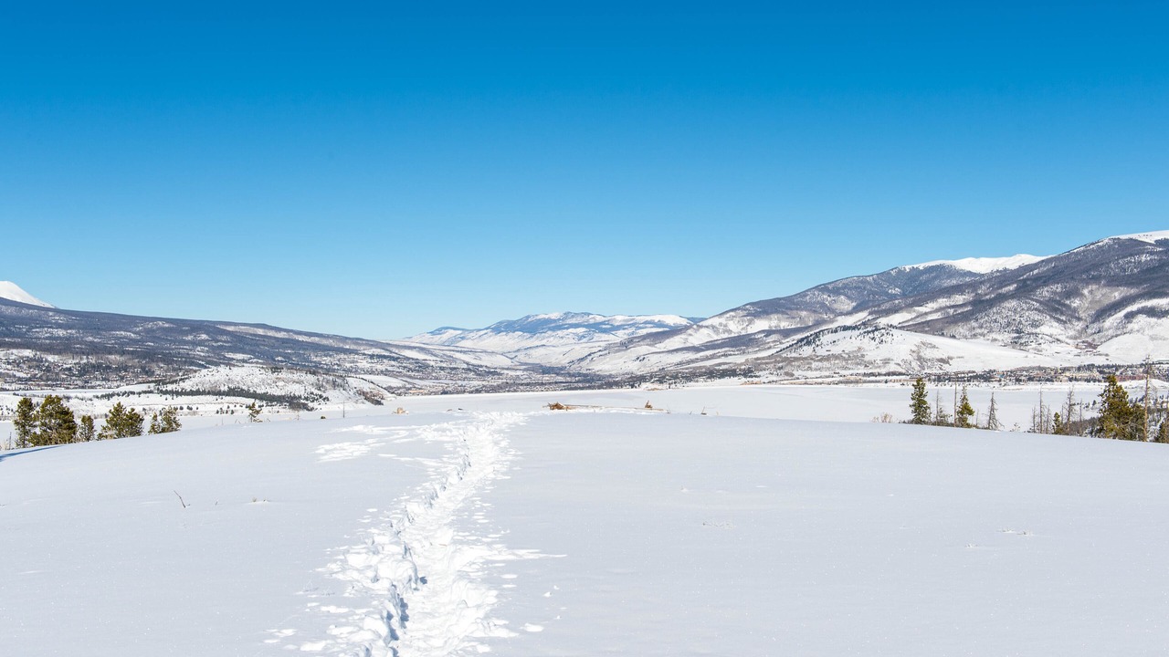 Photo of Others in South Fork