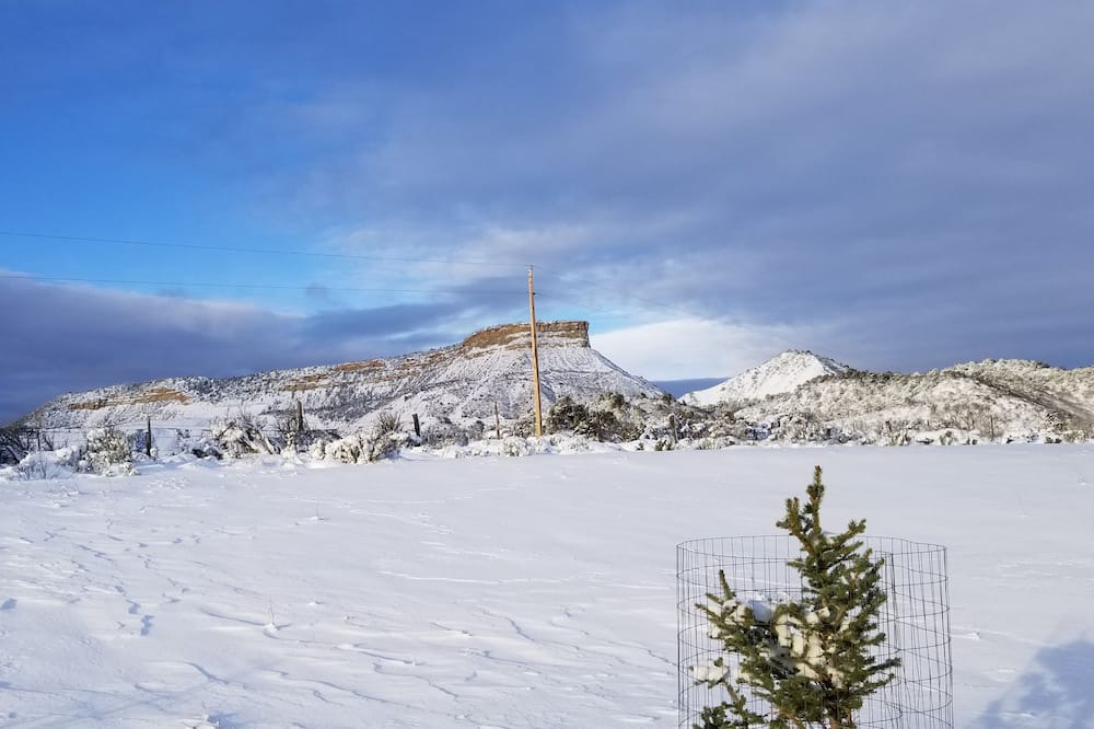 Photo of Others in Mancos