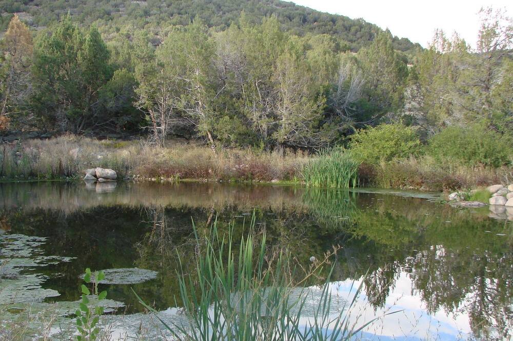 Photo of Others in Hotchkiss