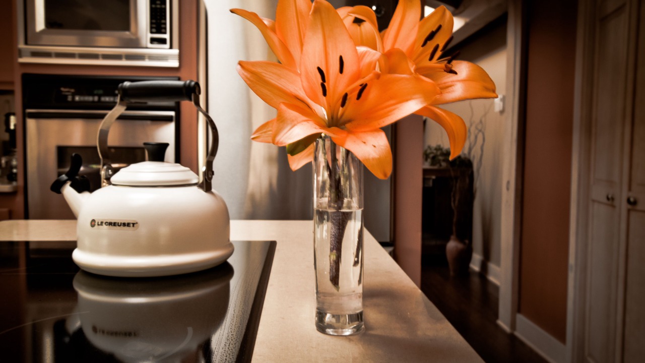 Photo of Kitchen in Nathrop