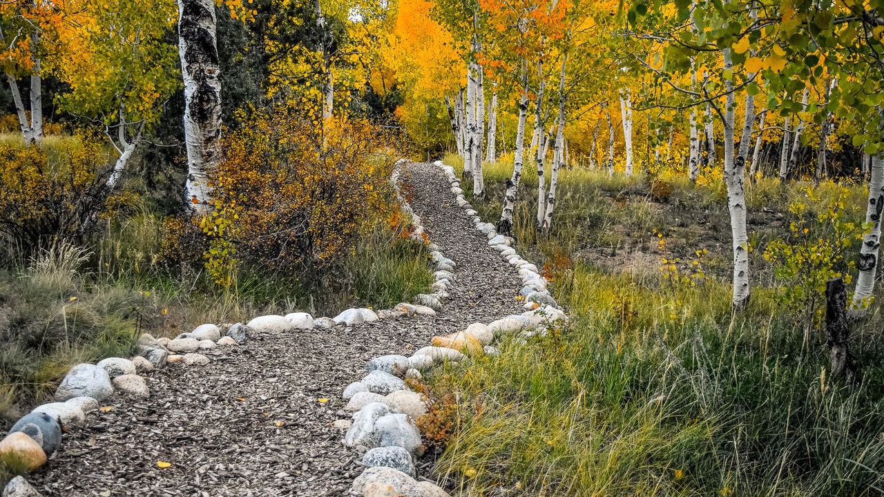 Photo of Outdoor in Nathrop