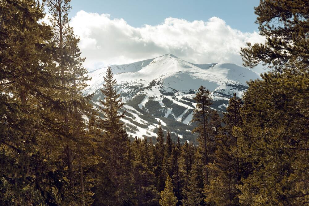 Photo of Outdoor in Breckenridge Park Estates