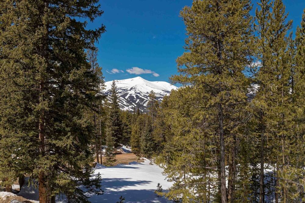 Photo of Outdoor in Breckenridge Park Estates