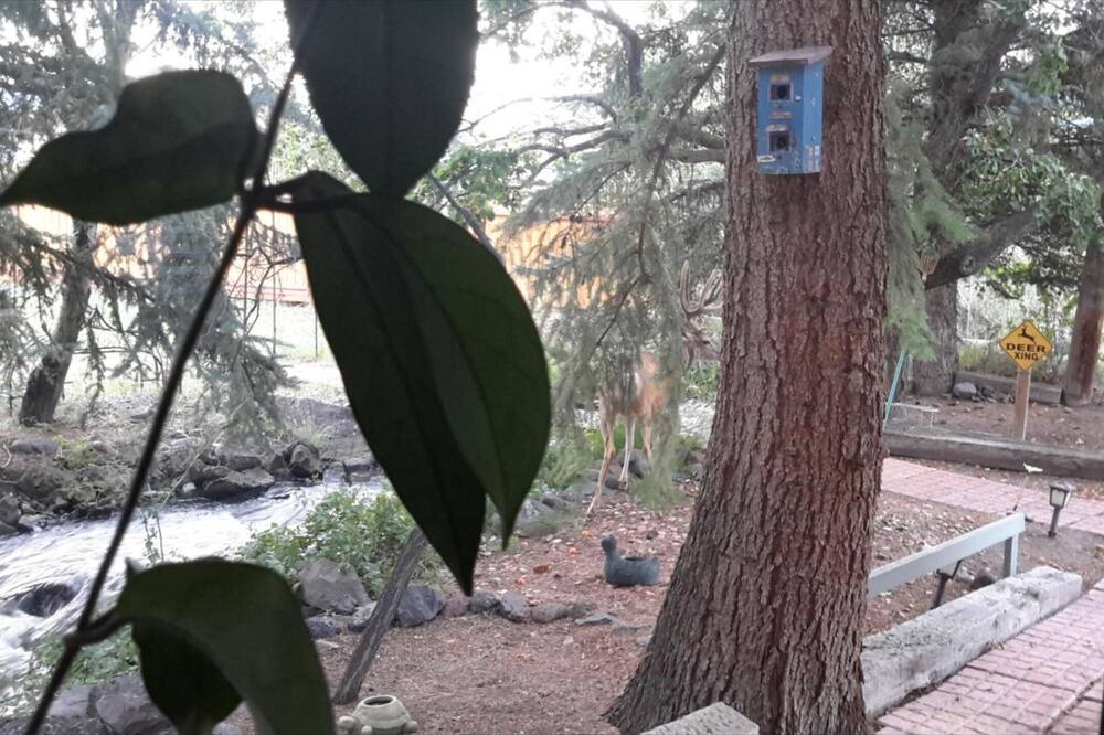 Photo of Outdoor in Cedaredge