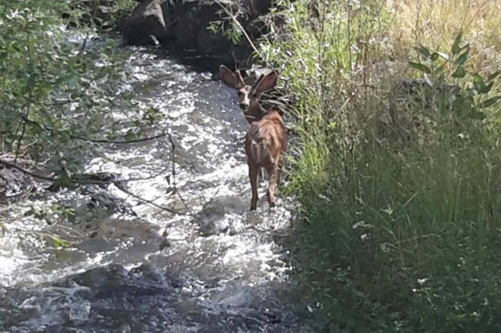 Photo of Outdoor in Cedaredge