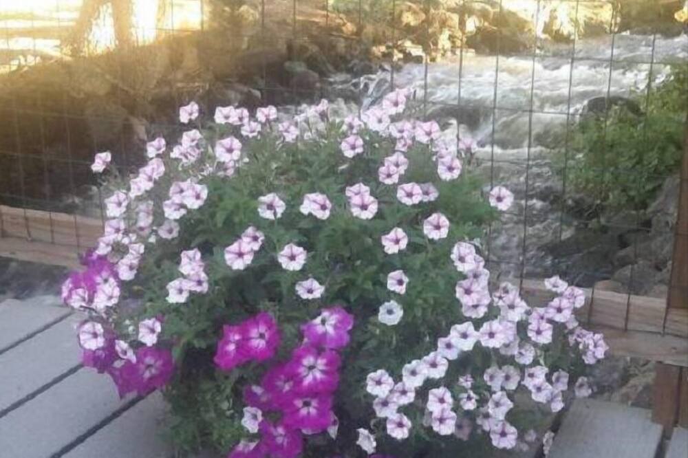 Photo of Others in Cedaredge