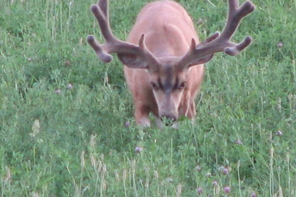 Photo of Outdoor in Cedaredge