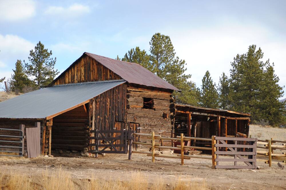 Photo of Others in Tarryall
