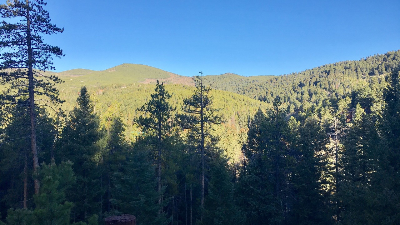 Photo of Others in Shadow Mountain