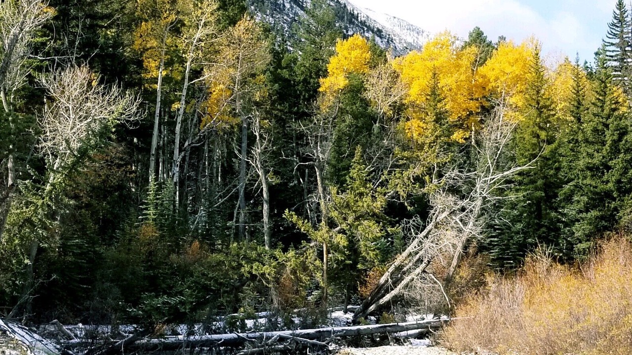 Photo of Outdoor in Nathrop