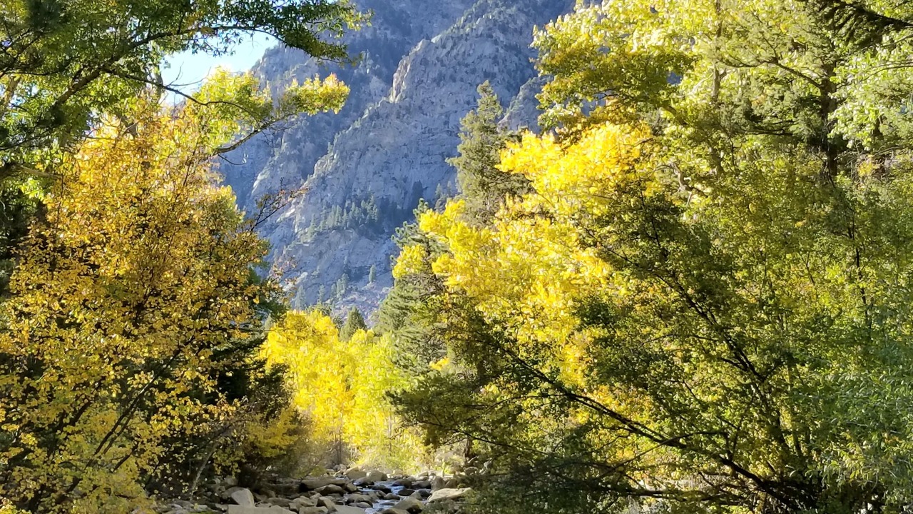 Photo of Outdoor in Nathrop