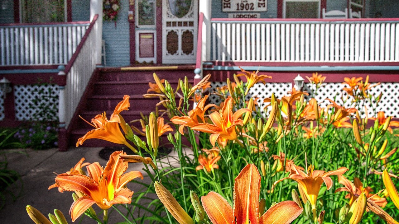 Photo of Outdoor in Colorado Springs