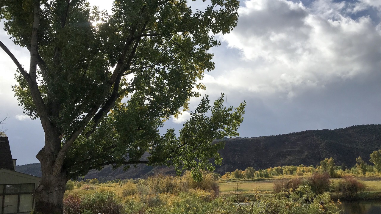 Photo of Outdoor in Carbondale